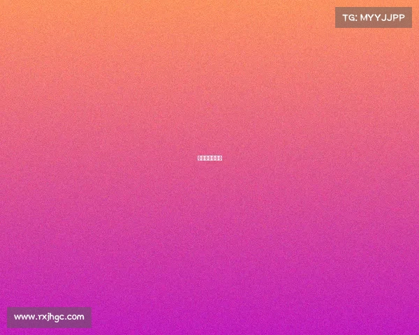 女排的赛事安排